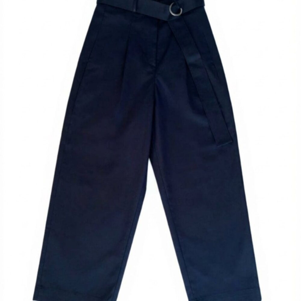 Banana Republic Cruz Pleated Wide-Leg Chino | Navy Blue | Size 6